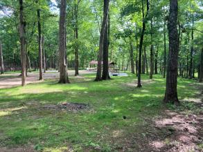 Distant view of covered meeting area, with trees in the foreground