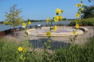Yellow flowers in the foreground with a plaza containing benches and a compass rose painting on the concrete surface in the background
