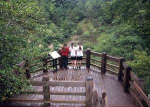 Three women on a wooden platform looking over a river
