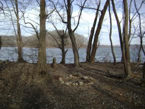 A fire pit in the woods next to a river