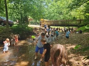 Children wading in a shallow stream