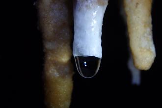 soda straw cave formations hanging from the cave ceiling