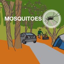 an illustration of a mosquito at a campsite