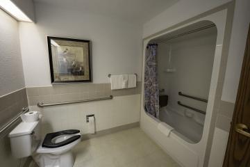 Bathroom area with toilet and shower