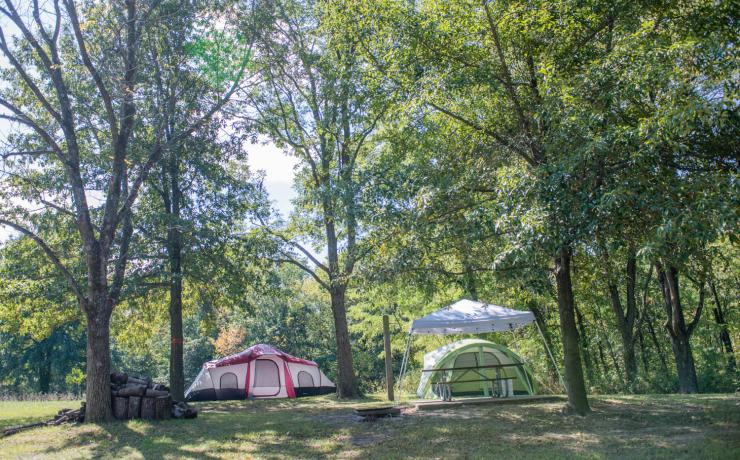 Tents and a picnic shelter at a campsite