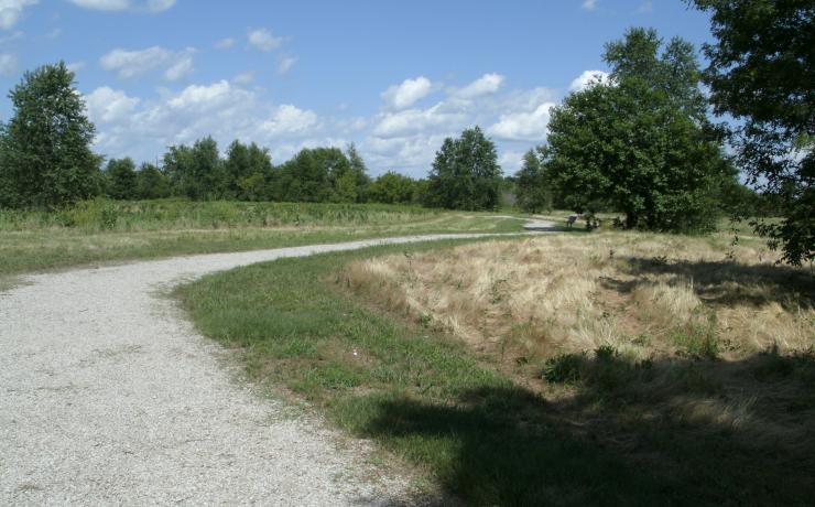 A trail through a grass field