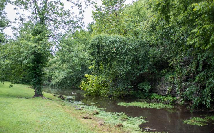 A river with a rocky wall on one side and an open field on the other