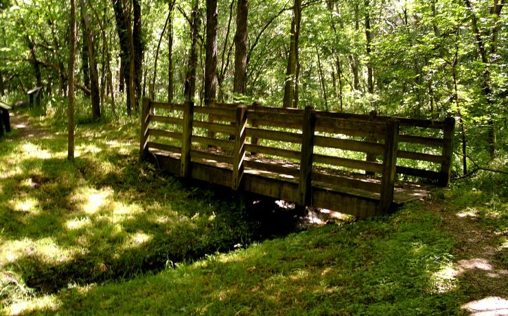 A small wooden bridge over a creek