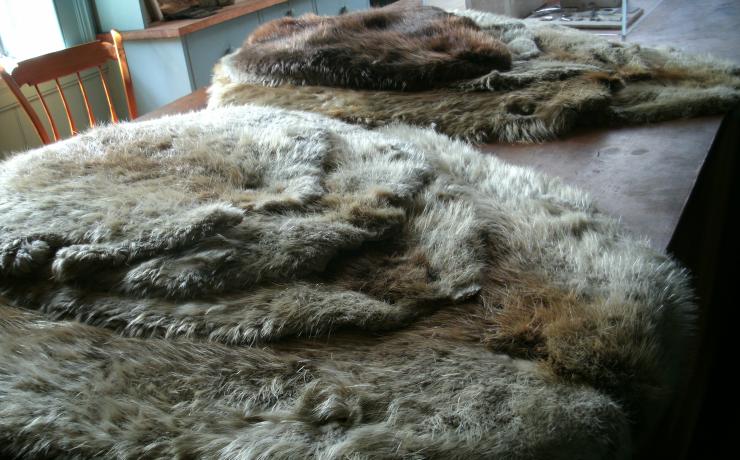 Animal pelts displayed on a table