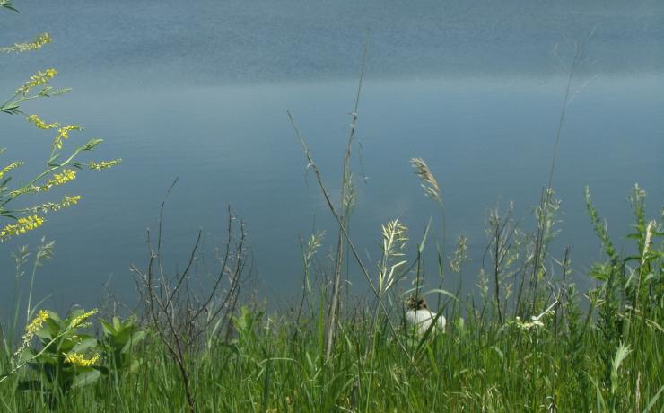 A hill overlooking a lake