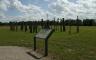 An info plaque about tree trunks in a field