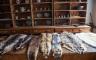 Animal pelts on display