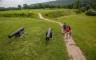 A family walking on an outdoor path past two cannons on display