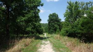 Route 66 State Park 1