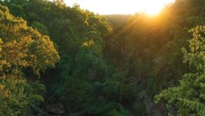 A scenic view at Grand Gulf State Park