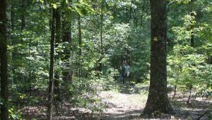 Enjoy hiking at Trails of the Roger Pryor Pioneer Backcountry