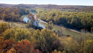 a river surrounded by forests
