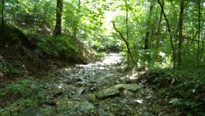 a rocky creek at Big Sugar Creek State Park
