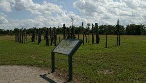 An info plaque about tree trunks in a field