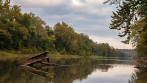 a large river with trees along the side