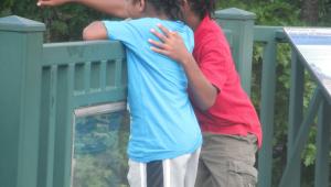 Two kids looking over a fence
