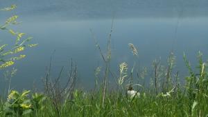 A hill overlooking a lake