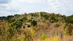 Ozark Mountain at Shepherd of the Hills State Park.