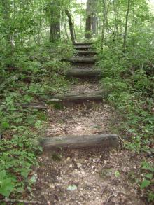 A hiking trail with wooden steps