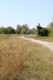 A trail through the grass