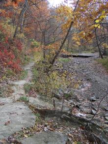 Rocky trail in the woods