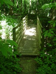 A wooden bridge