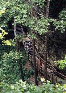 A group of people walking on a wooden bridge