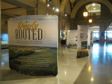 Deeply Rooted traveling exhibit displays