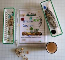 Archaeology educational trunk