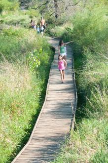 A family running down a wooden hiking path