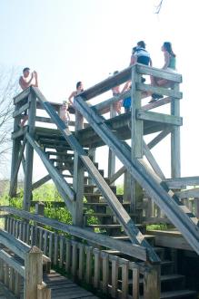 people on the wooden platform overlook with stairs leading to it