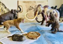 Missouri Prehistoric history educational trunk