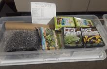 Reptiles and Amphibians educational trunk