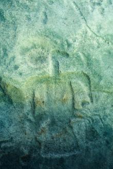 petroglyph of a bird