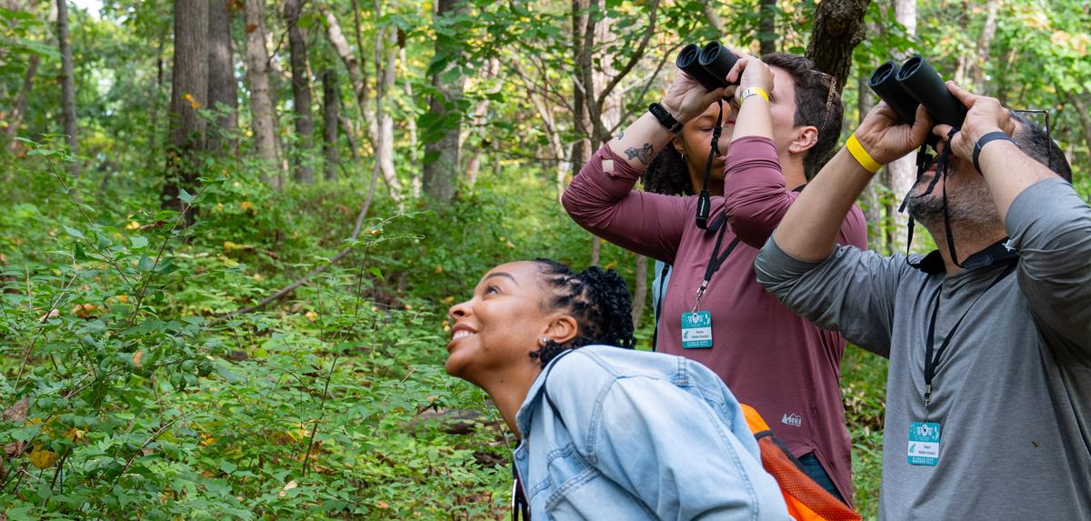 Three people look up toward the trees in the woods, with a fourth person behind them