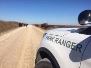 Ranger looking at wildlife 37