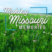 A field of wildflowers with the text "Making Missouri Memories"